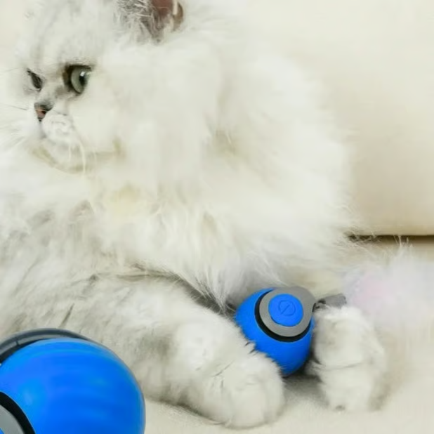 🔥Creawel® Interactive Electric Rolling Ball with Teasing Tail