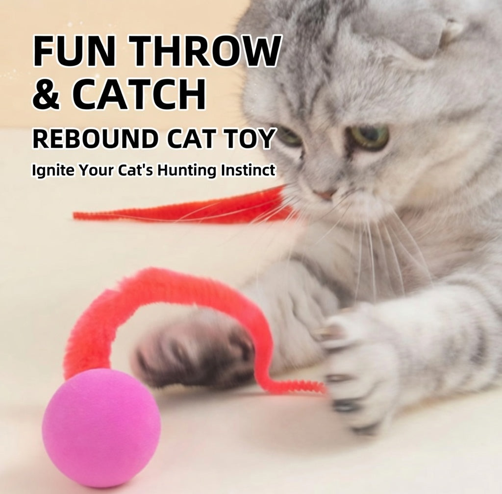 Creawel® 🐱 Fuzzy Wiggly Bouncy Balls The Ultimate Interactive Cat Toy 🕊️