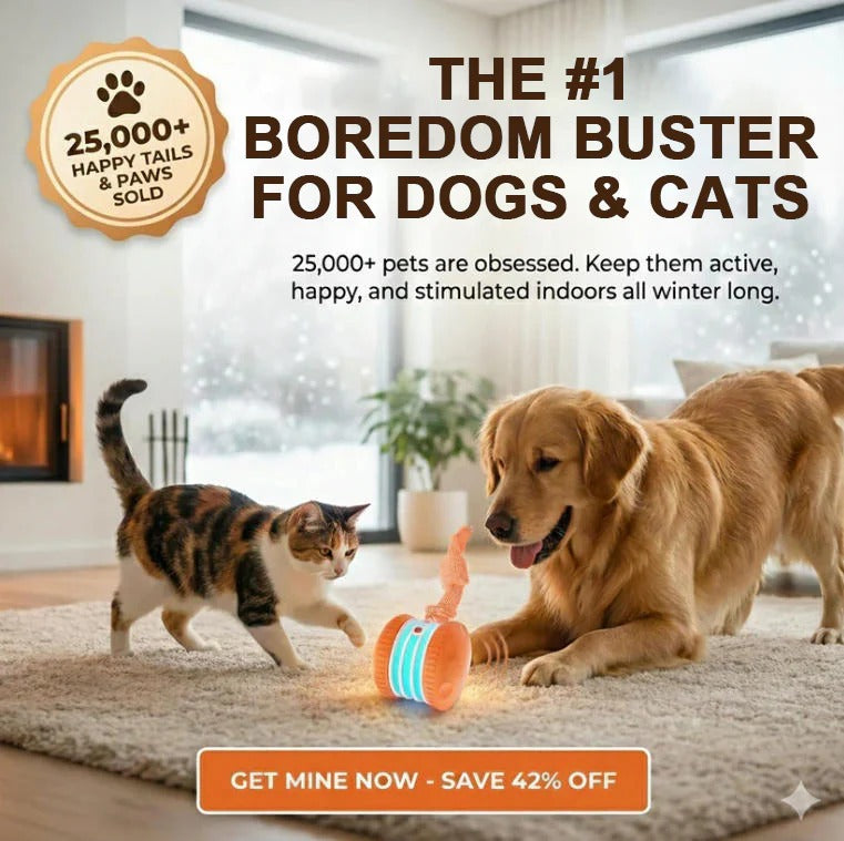 🐶The Creawel®– Keep Your Pet Relaxed, Happy & Content 🐾