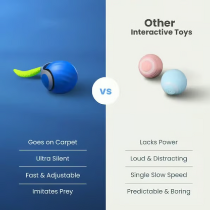 🔥Creawel® Interactive Electric Rolling Ball with Teasing Tail