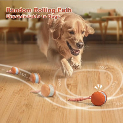 🐶The Creawel®– Keep Your Pet Relaxed, Happy & Content 🐾