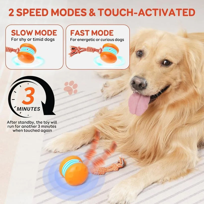 🐶The Creawel®– Keep Your Pet Relaxed, Happy & Content 🐾