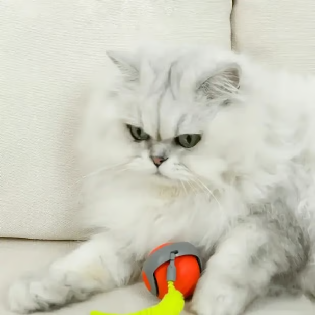 🔥Creawel® Interactive Electric Rolling Ball with Teasing Tail