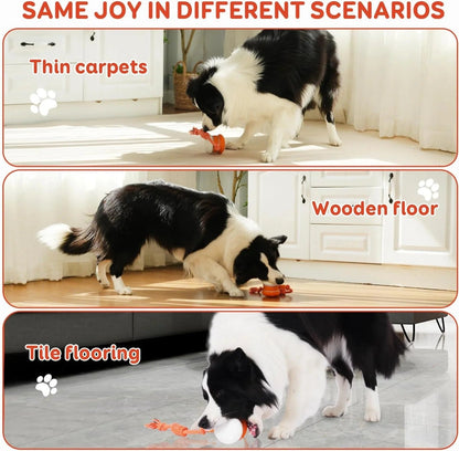 🐶The Creawel®– Keep Your Pet Relaxed, Happy & Content 🐾