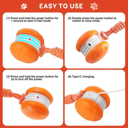 🐶The Creawel®– Keep Your Pet Relaxed, Happy & Content 🐾