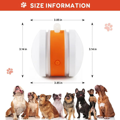 🐶The Creawel®– Keep Your Pet Relaxed, Happy & Content 🐾