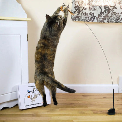 🐶The Creawel® Interactive Bird Simulation Cat Toy Set