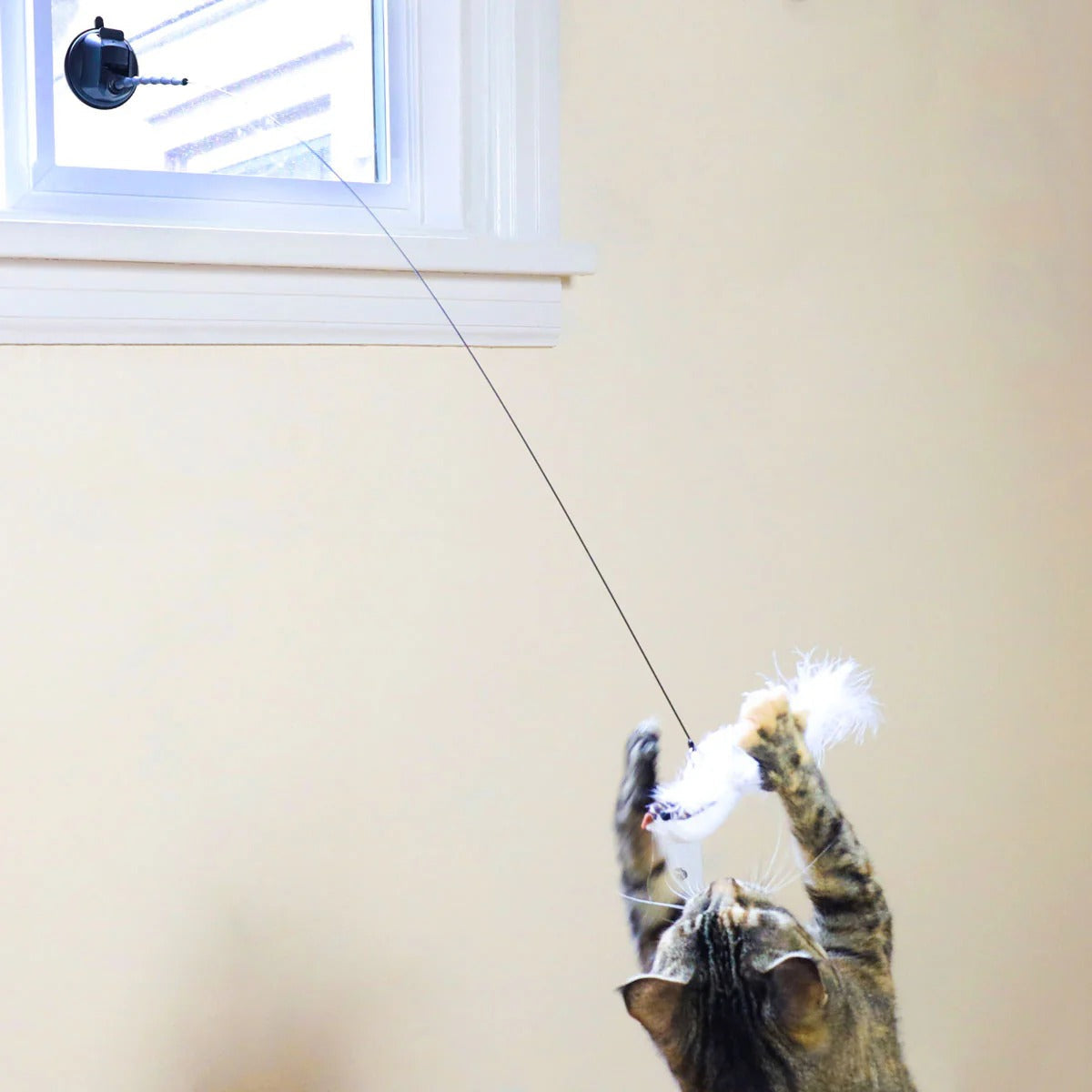 🐶The Creawel® Interactive Bird Simulation Cat Toy Set