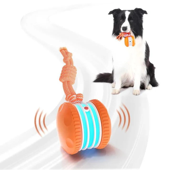 🐶The Creawel®– Keep Your Pet Relaxed, Happy & Content 🐾