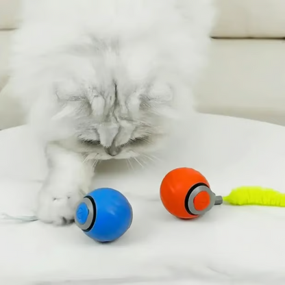 🔥Creawel® Interactive Electric Rolling Ball with Teasing Tail